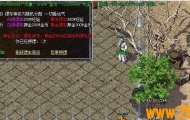 GOM引擎完美无措的押镖脚本-完整版