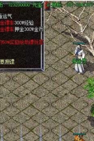 GOM引擎完美无措的押镖脚本-完整版