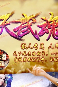 诛天武魂