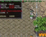 GOM引擎完美无措的押镖脚本-完整版