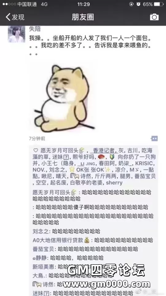 d6.jpg
