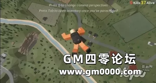 d5.jpg