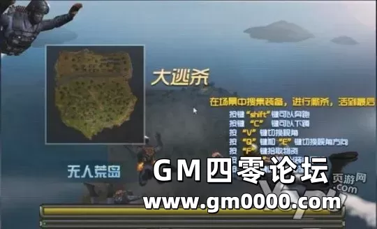 d4.jpg