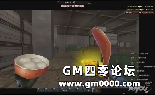 d14.jpg